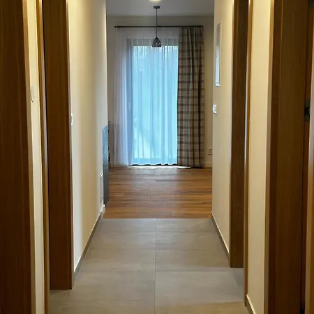 Pampeliska * Černý Dŭl